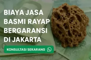 Biaya-Jasa-Basmi-Rayap-Bergaransi-di-Jakarta