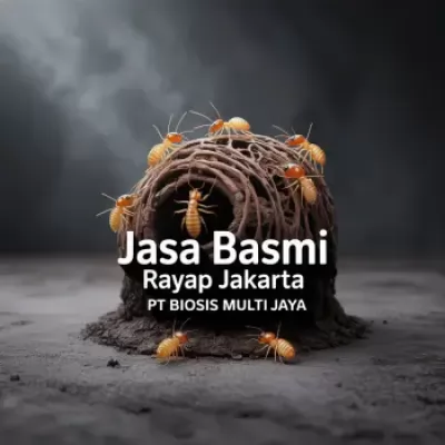 Jasa-Basmi-Rayap-Jakarta-Bergaransi-PT-Biosis-untuk-Apartemen-dan-Kantor
