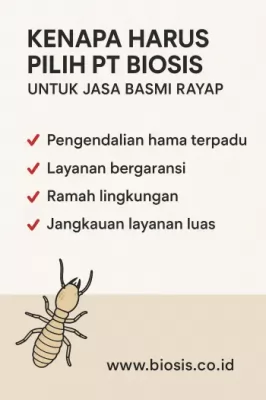 Kenapa-Harus-Pilih-PT-Biosis-untuk-Jasa-Basmi-Rayap